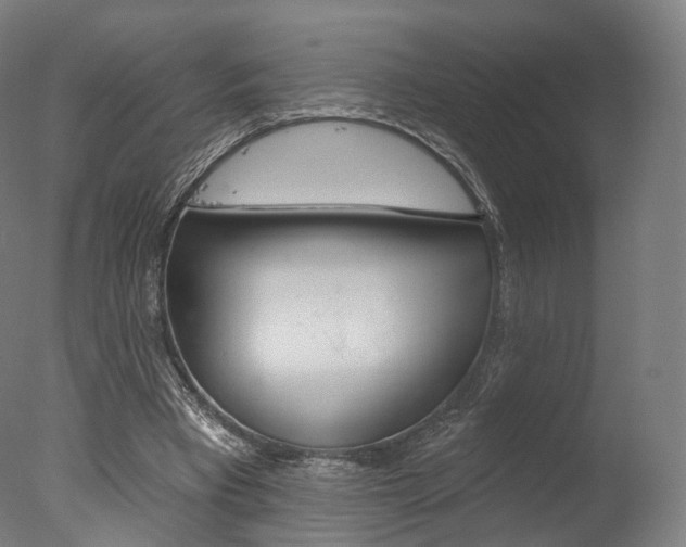 X0000077370393200610201020