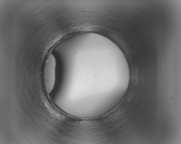 X0000077370394200610201020