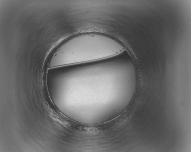 X0000077370395200610201020