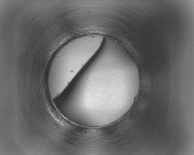 X0000077370398200610201019