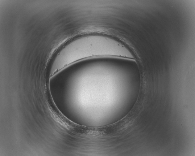 X0000077370399200610201019