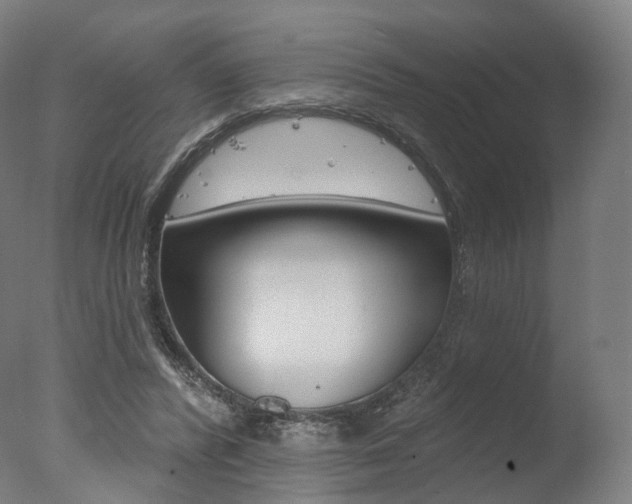 X0000077370400200610201019