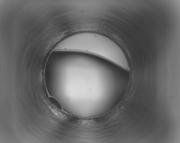 X0000077370401200610201019