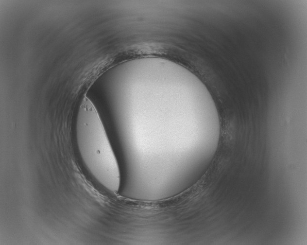 X0000077370402200610201019