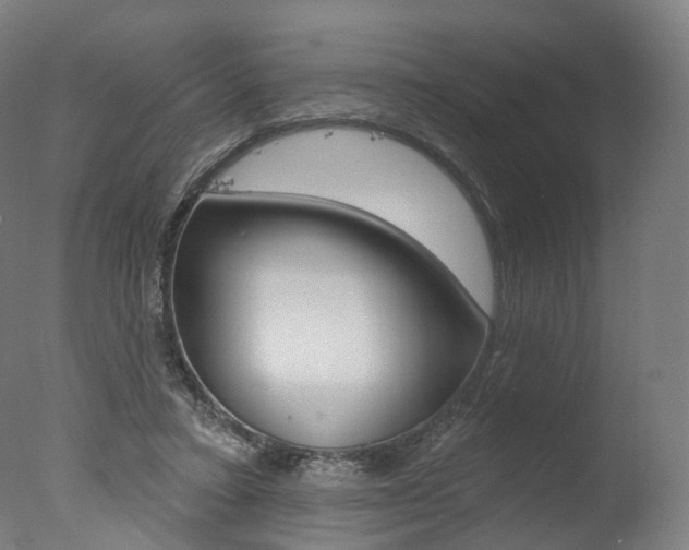 X0000077370403200610201019