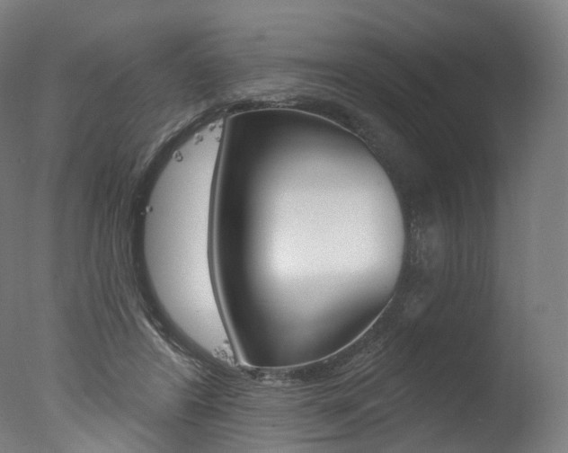 X0000077370404200610201019