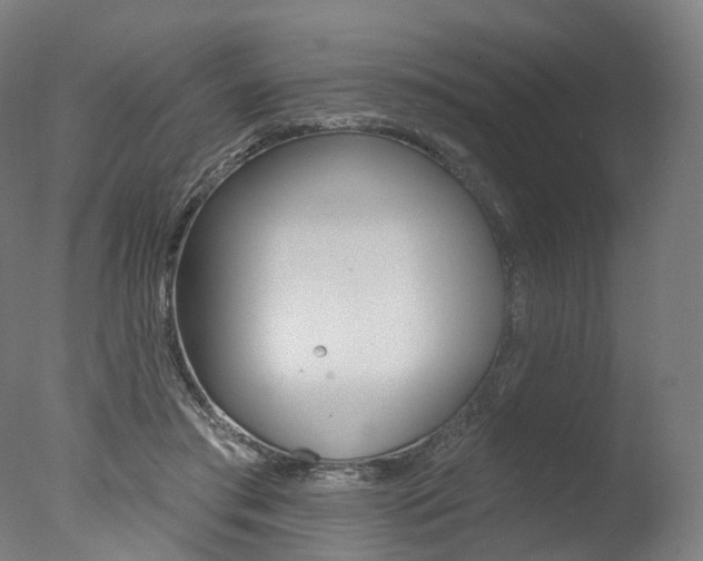 X0000077370405200610201019