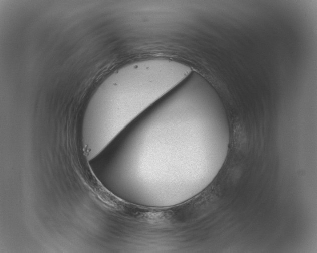 X0000077370406200610201019