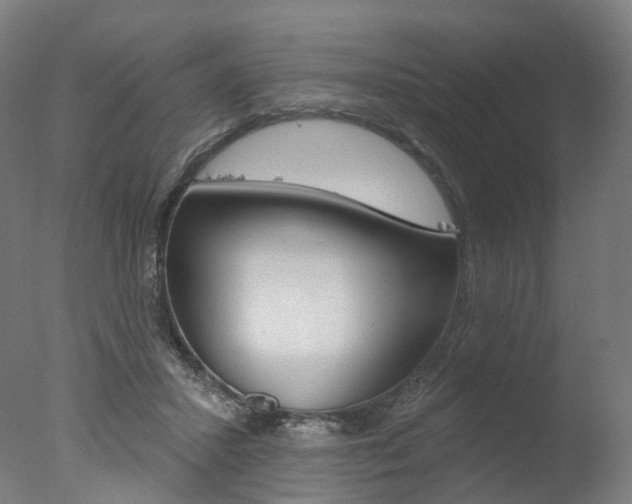 X0000077370407200610201019