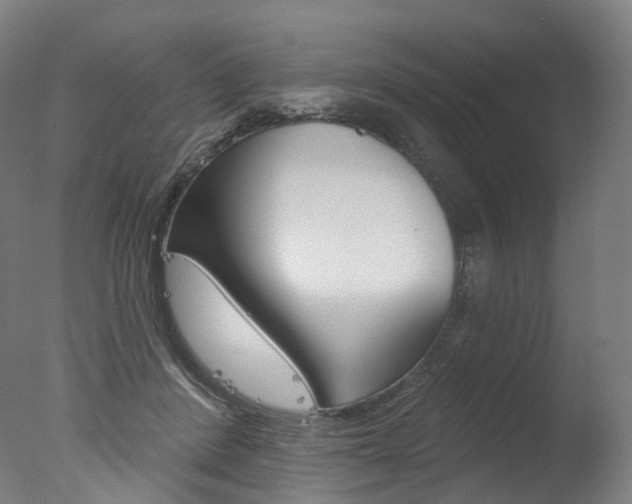 X0000077370408200610201019