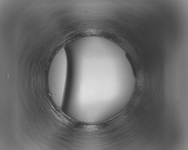 X0000077370409200610201019