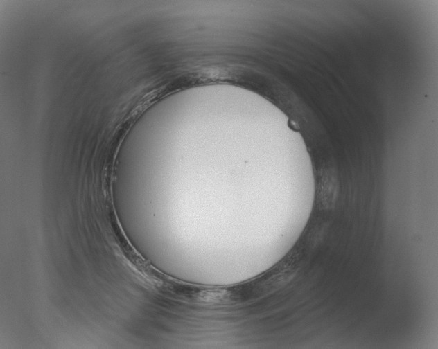 X0000077370410200610201019