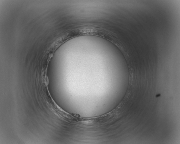 X0000077370411200610201019