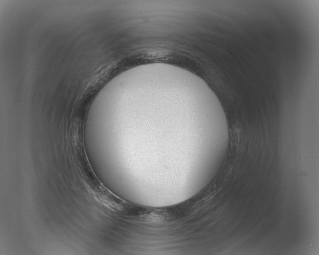 X0000077370412200610201019