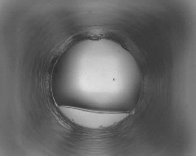 X0000077370413200610201019