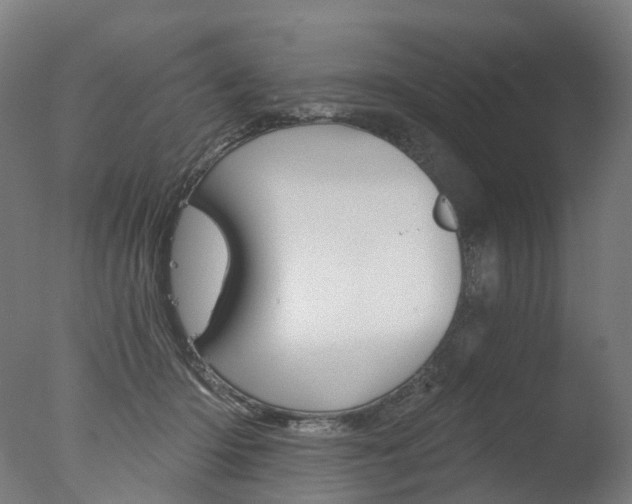 X0000077370414200610201019