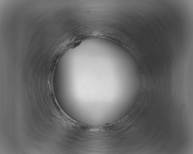 X0000077370415200610201019