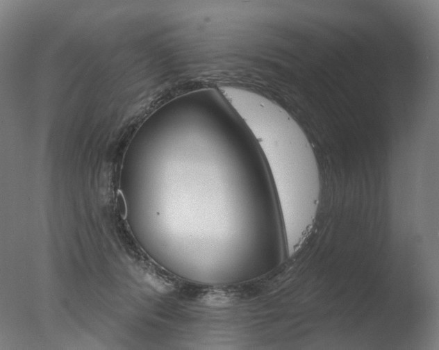 X0000077370416200610201019