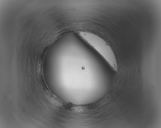 X0000077370417200610201019