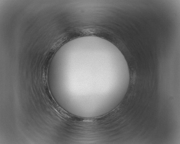 X0000077370418200610201019