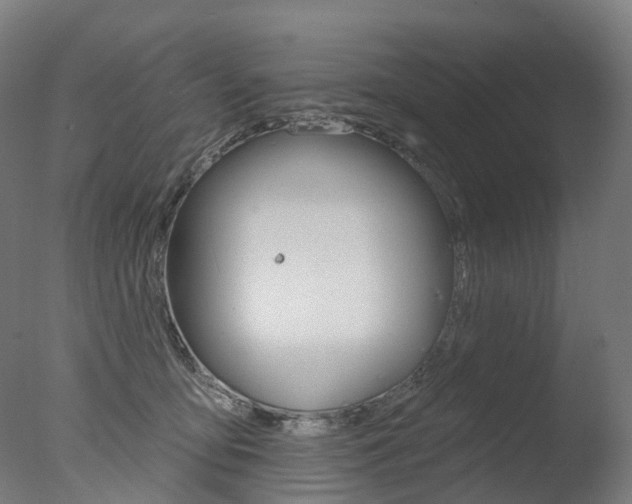 X0000077370419200610201019