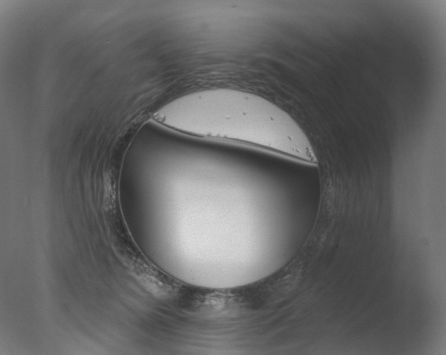 X0000077370420200610201019