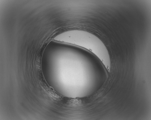 X0000077370421200610201019