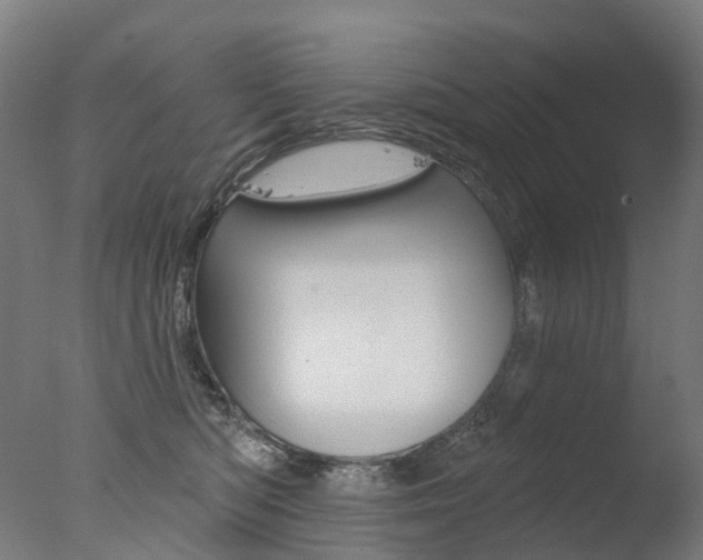 X0000077370422200610201019