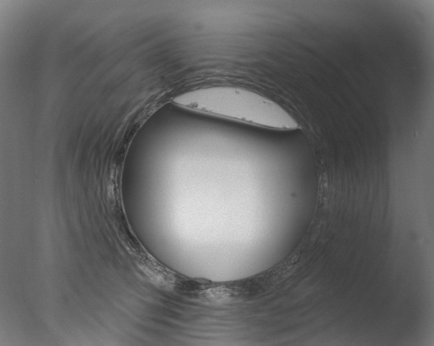 X0000077370423200610201019