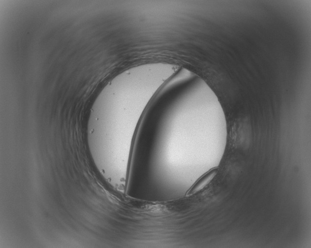 X0000077370424200610201019