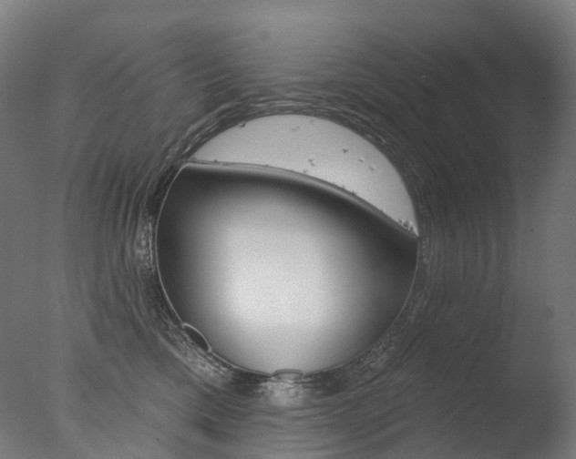 X0000077370425200610201019