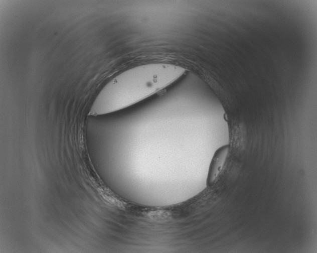 X0000077370426200610201019