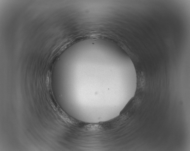 X0000077370427200610201019