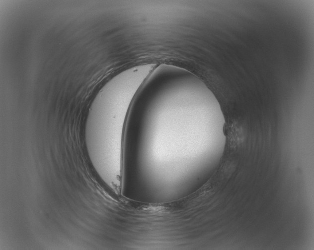 X0000077370428200610201019