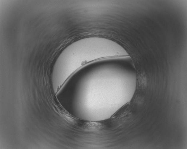 X0000077370429200610201019