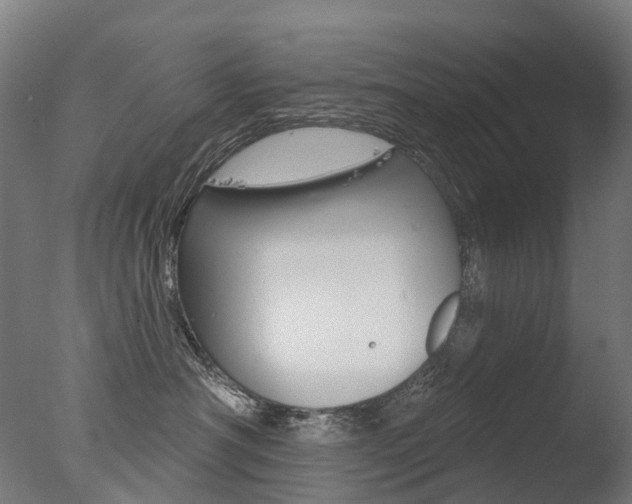 X0000077370430200610201019