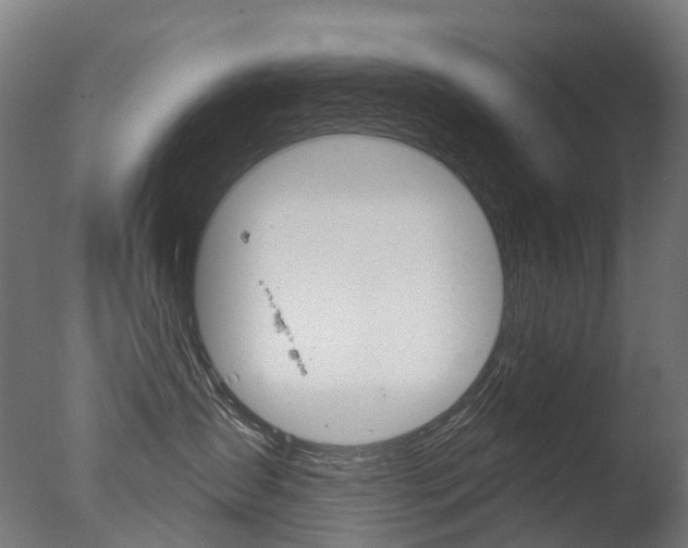 X0000077370431200610201019