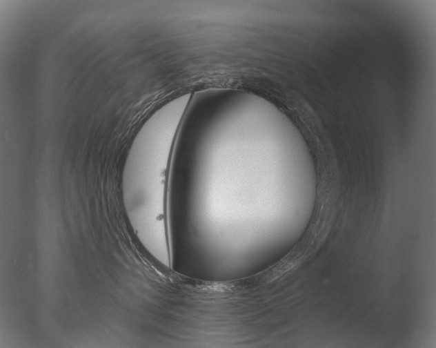 X0000077370432200610201019