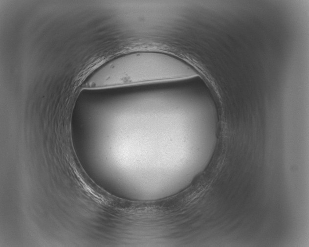 X0000077370433200610201018