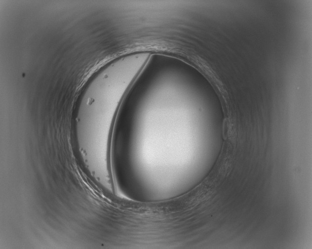 X0000077370434200610201018