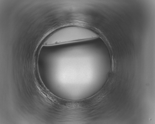 X0000077370435200610201018