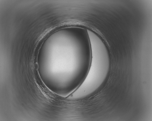 X0000077370436200610201018