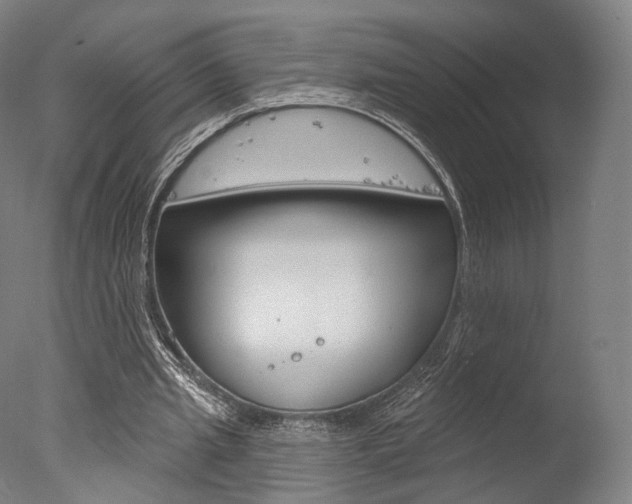 X0000077370437200610201018