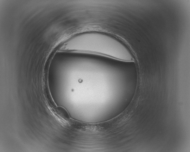 X0000077370439200610201018