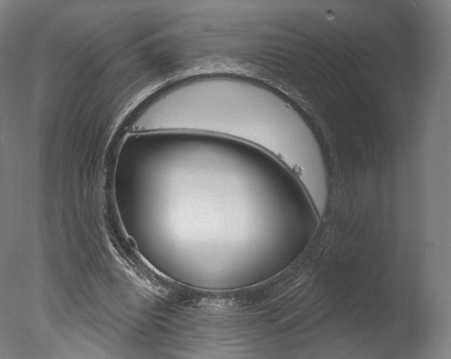 X0000077370440200610201018