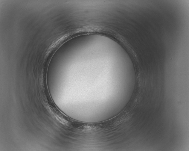 X0000077370442200610201018