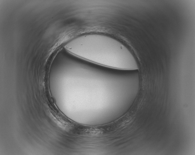 X0000077370443200610201018