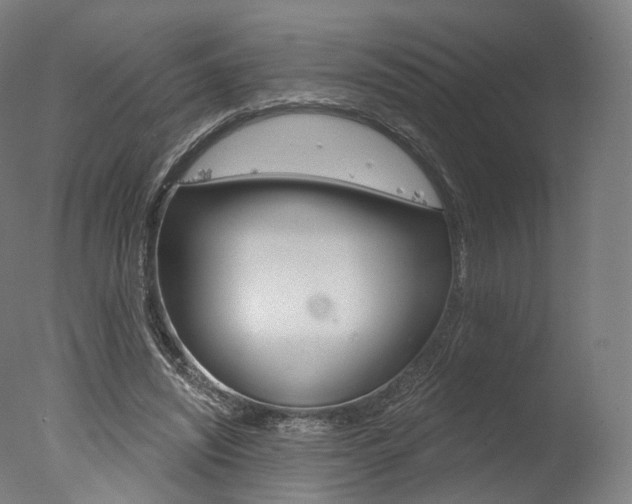 X0000077370444200610201018