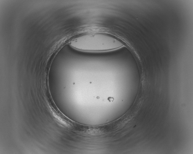 X0000077370445200610201018