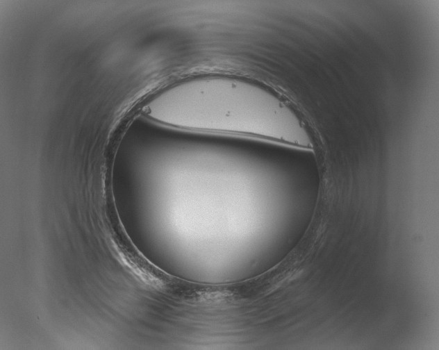 X0000077370446200610201018